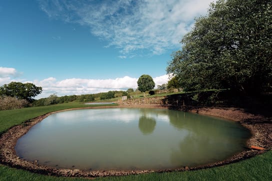 Pond at Notehouse Farms bordered by lawn and trees