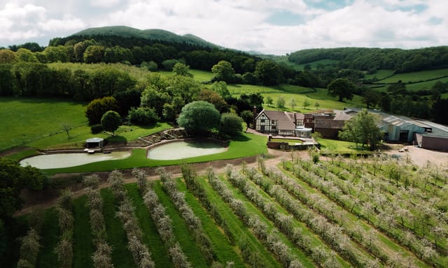 Farmhouse and orchards surrounded by ponds, fields, and wooded hills